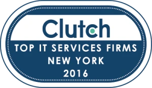 it_services_firms_new_york_2016-300x174 (1)
